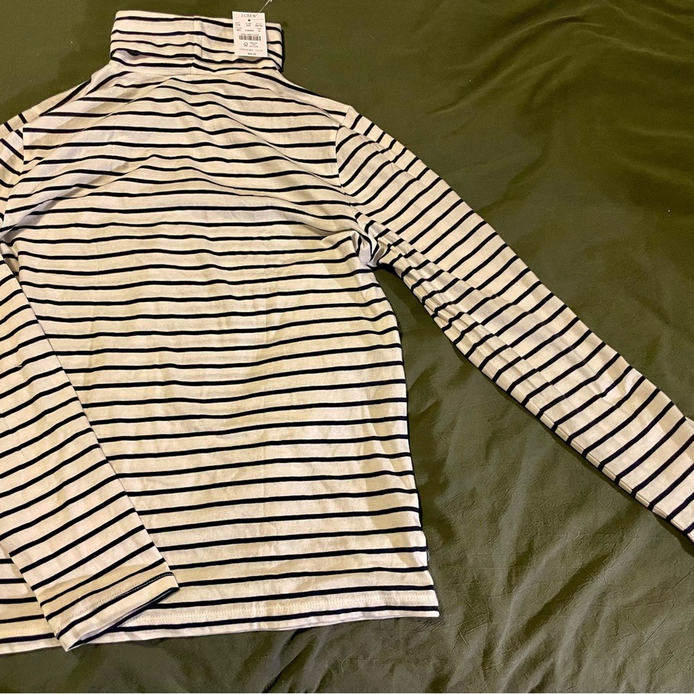 JCrew Striped Turtleneck Long Sleeve Top